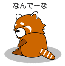 Red panda in Kansai region of Japan 1 sticker #2123849