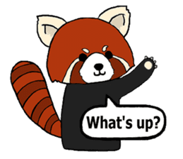 Red panda's relaxing life sticker #2124101