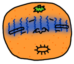 Funny orange and grape sticker #2132046