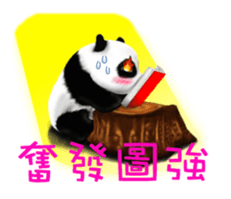 One day of the Chubby Panda sticker #2138032