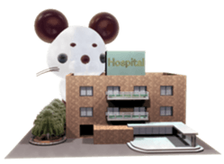 Paon of surprise animal sticker #2139056