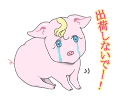 I am a pig sticker #2141584