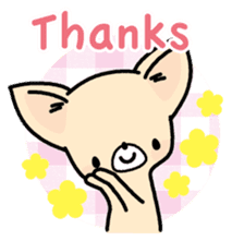 Tiny Lovely Chihuahua (English) sticker #2141905