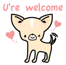 Tiny Lovely Chihuahua (English) sticker #2141906