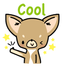 Tiny Lovely Chihuahua (English) sticker #2141908