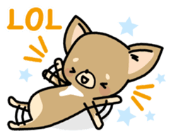 Tiny Lovely Chihuahua (English) sticker #2141912