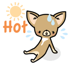 Tiny Lovely Chihuahua (English) sticker #2141914