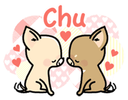 Tiny Lovely Chihuahua (English) sticker #2141917