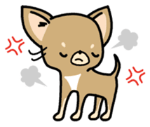 Tiny Lovely Chihuahua (English) sticker #2141921