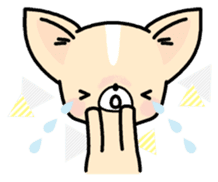 Tiny Lovely Chihuahua (English) sticker #2141922