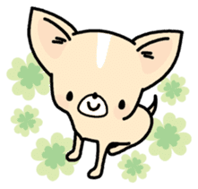 Tiny Lovely Chihuahua (English) sticker #2141926