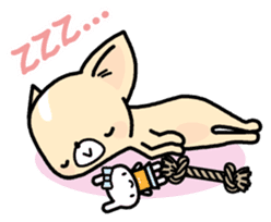 Tiny Lovely Chihuahua (English) sticker #2141927