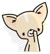 Tiny Lovely Chihuahua (English) sticker #2141930