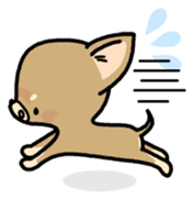 Tiny Lovely Chihuahua (English) sticker #2141933