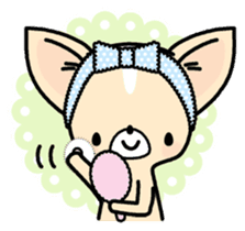 Tiny Lovely Chihuahua (English) sticker #2141940