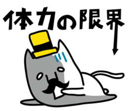 Beard cat sticker #2142288