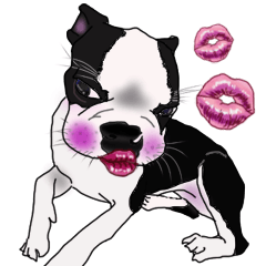 Boston Terrier Stickers