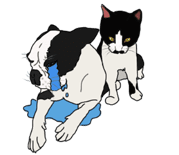 Boston Terrier Stickers sticker #2143306