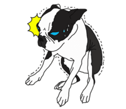 Boston Terrier Stickers sticker #2143308
