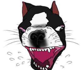 Boston Terrier Stickers sticker #2143312