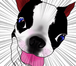 Boston Terrier Stickers sticker #2143315