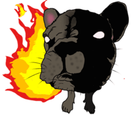 Boston Terrier Stickers sticker #2143316