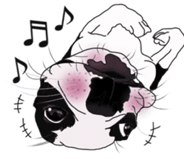 Boston Terrier Stickers sticker #2143318