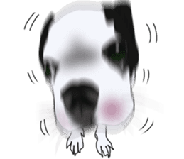 Boston Terrier Stickers sticker #2143319