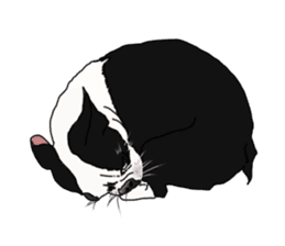 Boston Terrier Stickers sticker #2143322