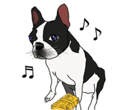 Boston Terrier Stickers sticker #2143325