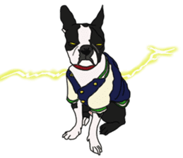 Boston Terrier Stickers sticker #2143327