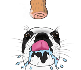 Boston Terrier Stickers sticker #2143328