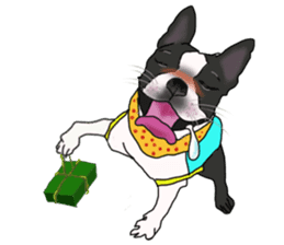 Boston Terrier Stickers sticker #2143330