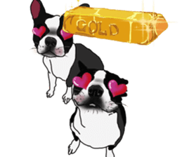 Boston Terrier Stickers sticker #2143331
