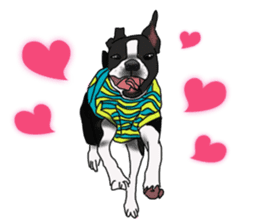Boston Terrier Stickers sticker #2143332