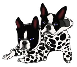 Boston Terrier Stickers sticker #2143341