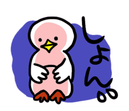 SHIRATORI duck(2) sticker #2146452