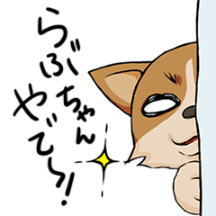 Kansai dialect Corgi raboo