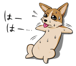 Kansai dialect  Corgi raboo sticker #2147913