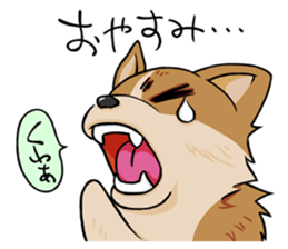 Kansai dialect  Corgi raboo sticker #2147926