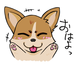 Kansai dialect  Corgi raboo sticker #2147927