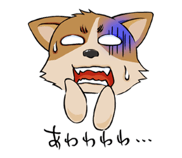 Kansai dialect  Corgi raboo sticker #2147933