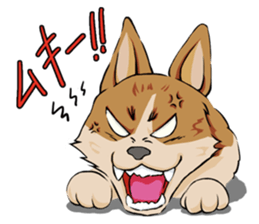 Kansai dialect  Corgi raboo sticker #2147943