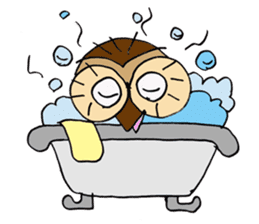 THE OWL TURNED INTO A WISE MAN sticker #2150128