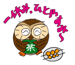 THE OWL TURNED INTO A WISE MAN sticker #2150140