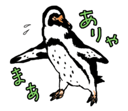 Penguins A sticker #2150424