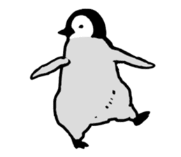 Penguins A sticker #2150427