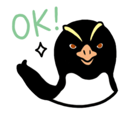 Penguins A sticker #2150428