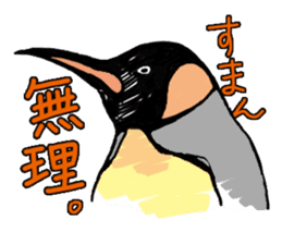 Penguins A sticker #2150431