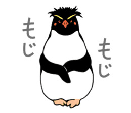 Penguins A sticker #2150432
